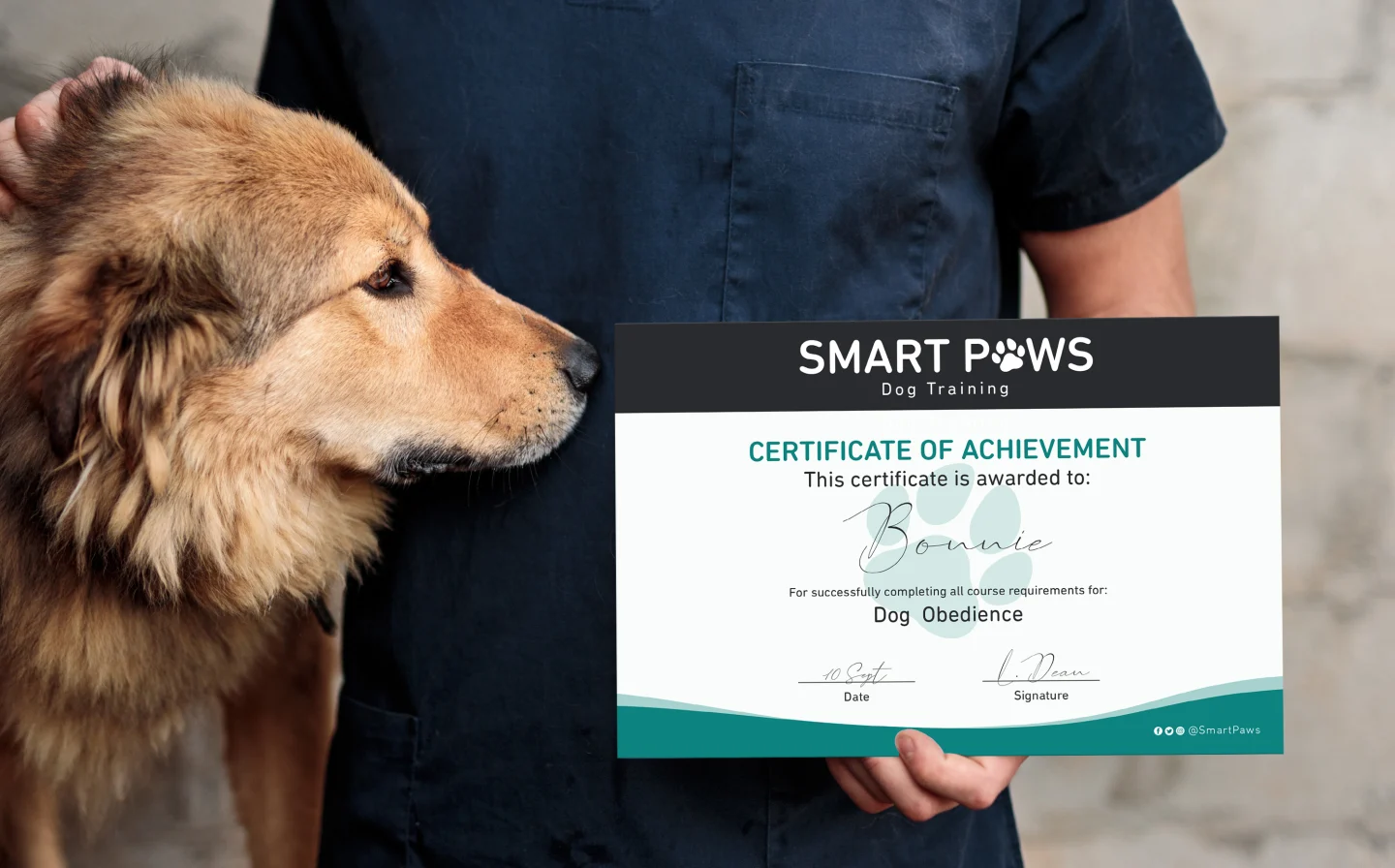 Animals&PetCare_PetTrainer_Certificates_1